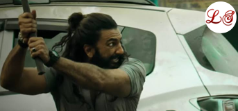 Wild Ride (वाइल्ड राइड)