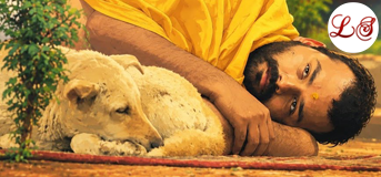 Aavagaman (आवागमन)